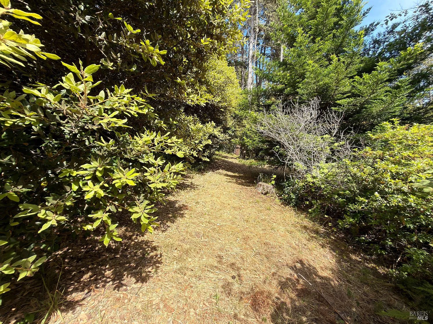 76 Compass Close - Photo 9