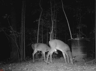 0 S Otter Creek Rd, Hodgenville, KY 42748