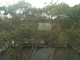 Rented by J Misrahi Realty Corp