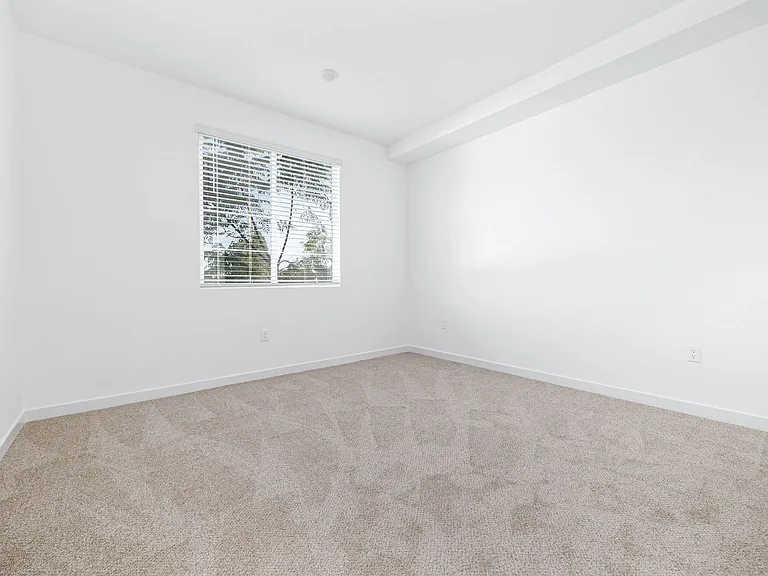 Raintree Court — Photo 16
