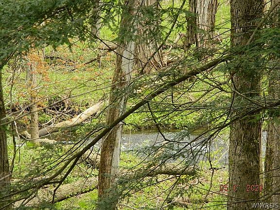 4th image of 9999 Olean Rd