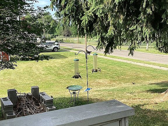 Large back yard