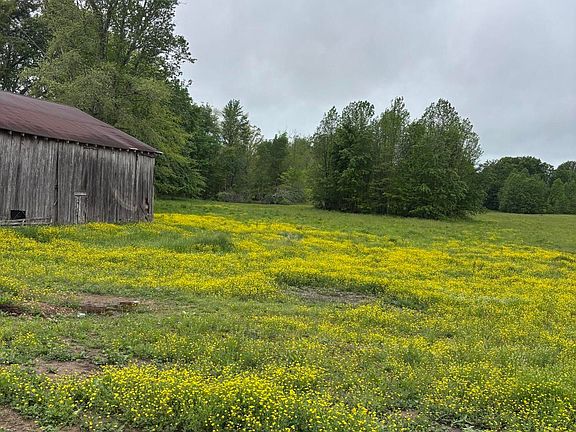 4th image of 1075 Patterson Rd