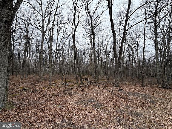 5th image of 519 Haystack Dr