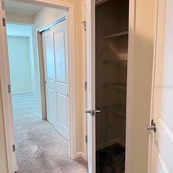 2817 Bright Bird Ln — Photo 24