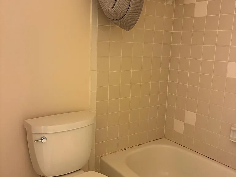 11907 Fallen Holly Ct — Photo 17