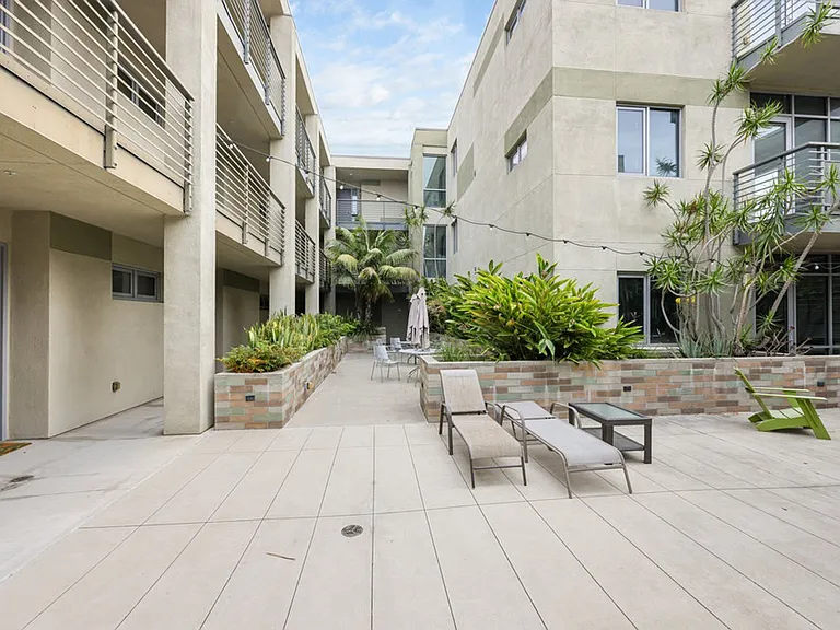 Olea — Photo 14
