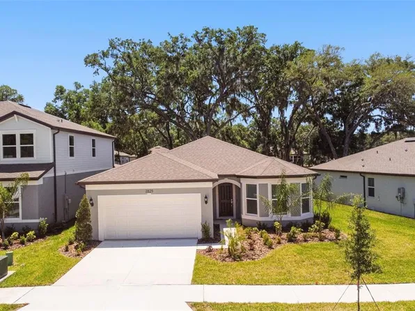 2825 Dolores Home Avenue Ln, Valrico, FL 33594
