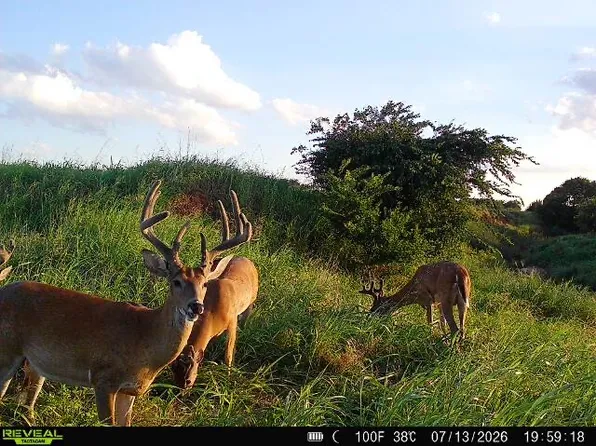 0 N 2780th Rd, Kingfisher, OK 73750
