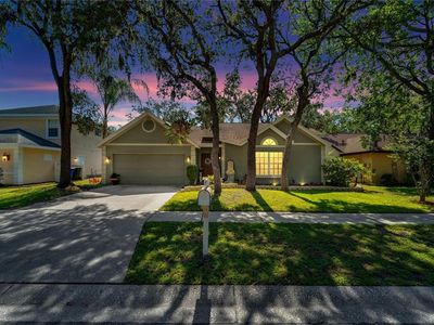 4028 Quail Briar Dr, Valrico, FL, 33596