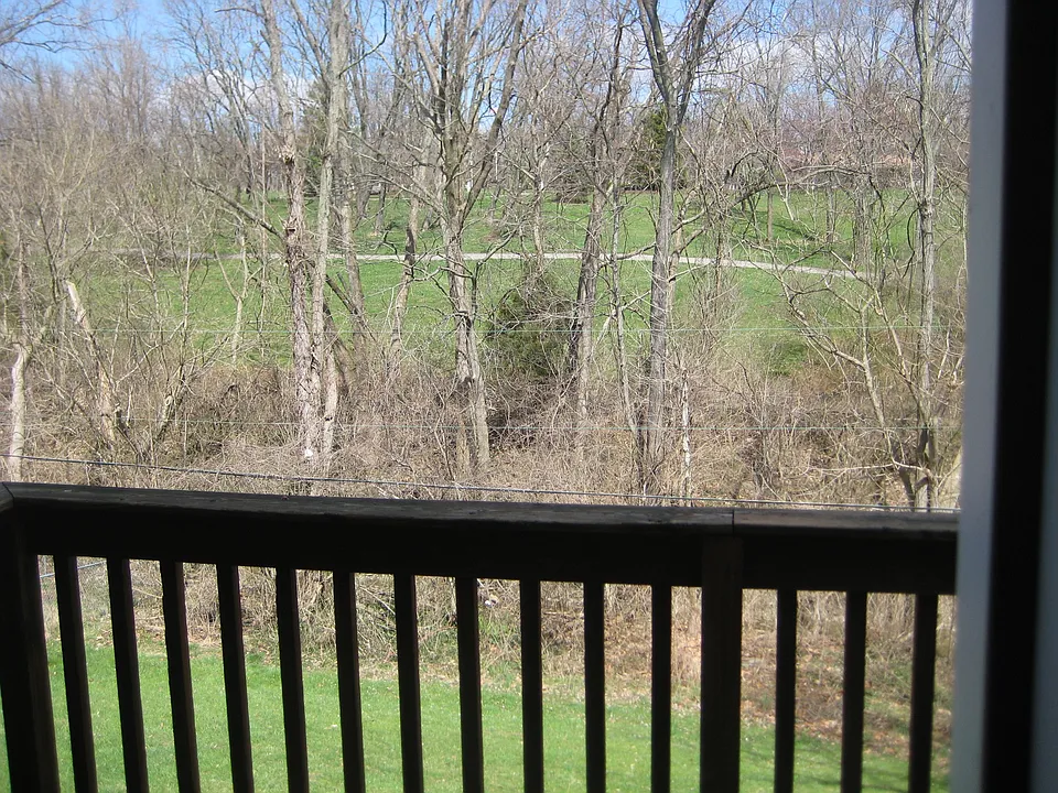 view from back deck