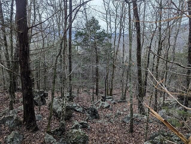 1st image of 0 Martin Gaines Rd