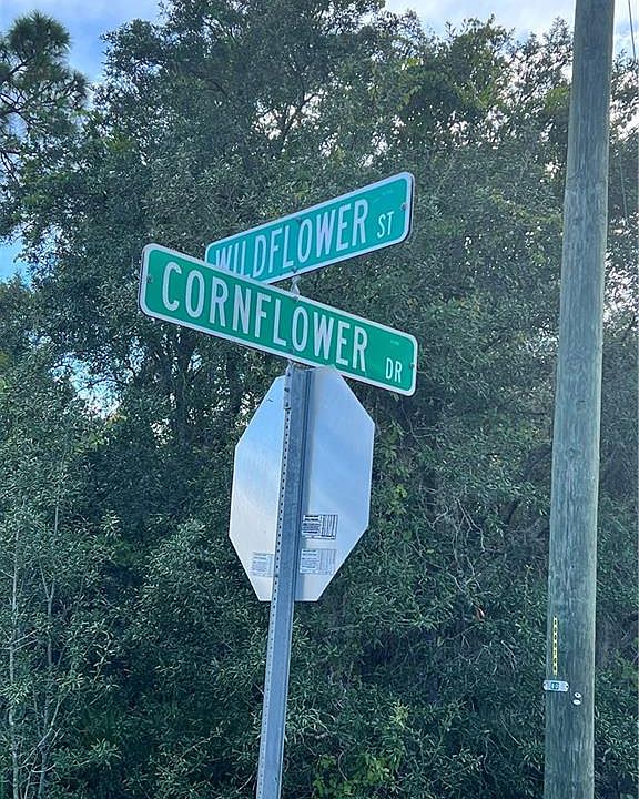 1st image of 3231 Cornflower Dr