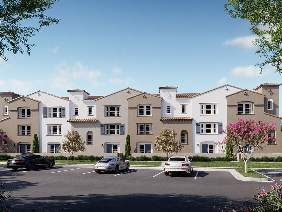 Palmera Plan D