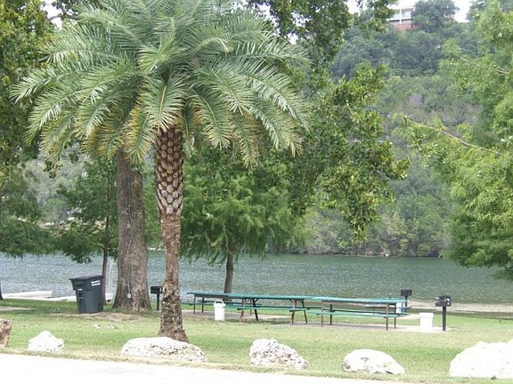 Walking distance to community park on Lake Austin!
