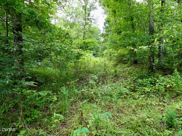 1124 Lick Creek Boat Dock Loop, Parsons, TN 38363