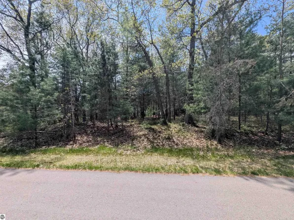 N A Golfview Ct, Au Gres, MI 48703