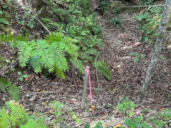 TRACT Fielder Rd #A, Ellijay, GA 30536