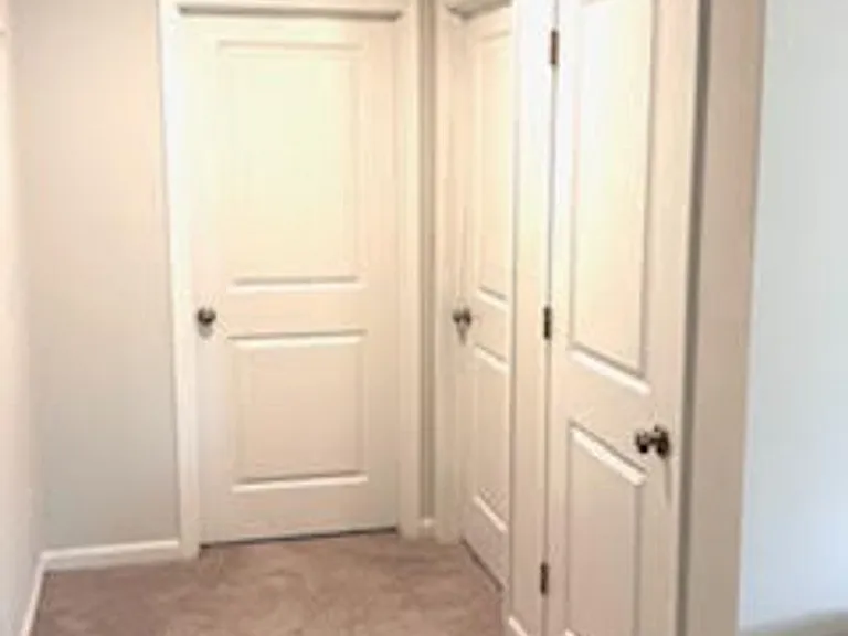4231 Honeysuckle Vine Dr — Photo 20