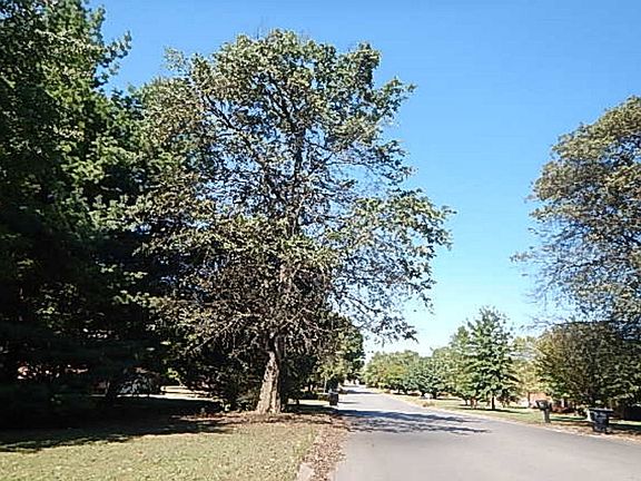 5th image of 3027 Regency Park Dr