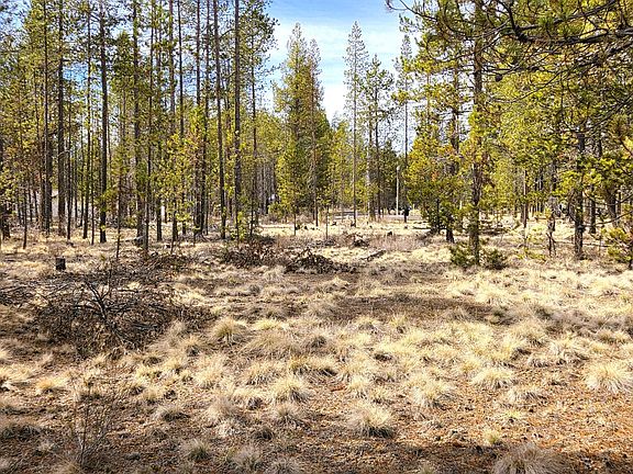 2nd image of 16555 Fawn Ct