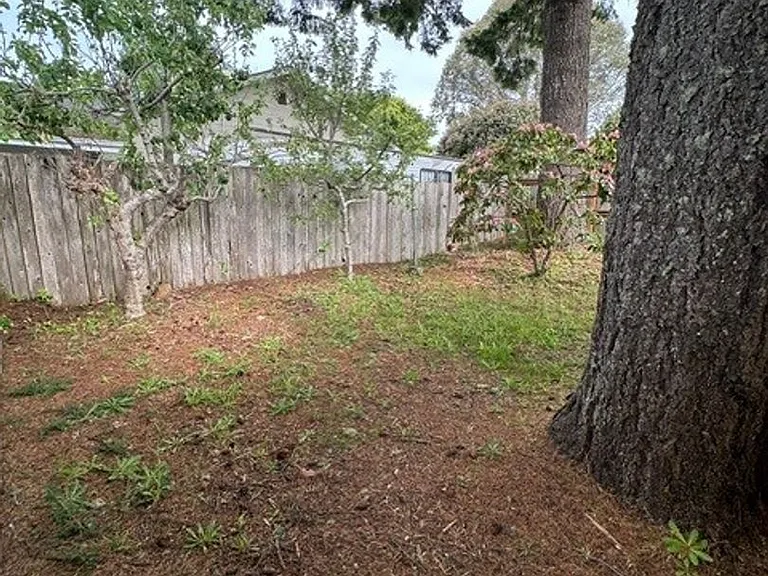 805 Cameo Ct — Photo 5