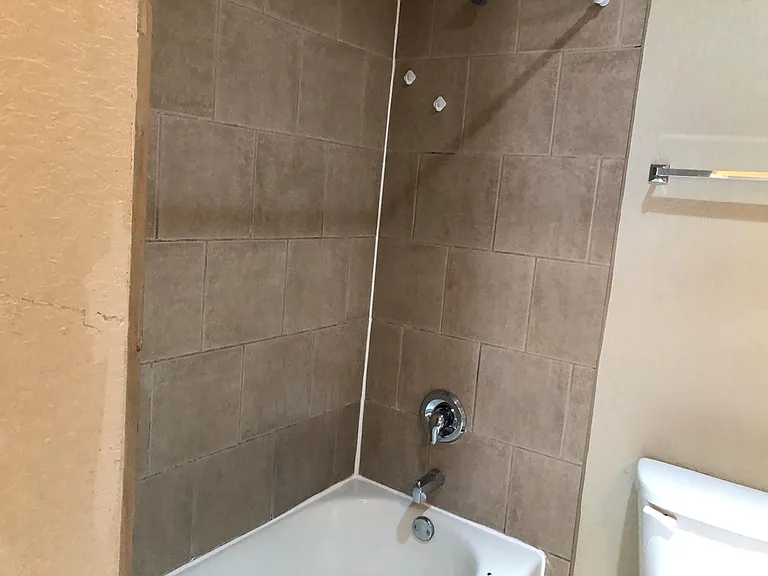 Master Bathroom Shower Tub