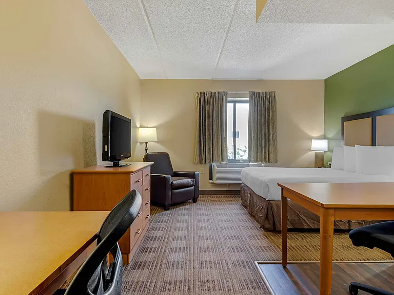 Studio Suite - 1 Queen Bed