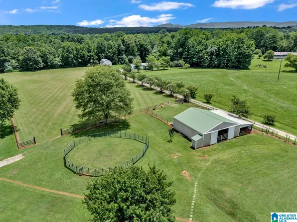 0 Mize Rd #13, Remlap, AL 35133