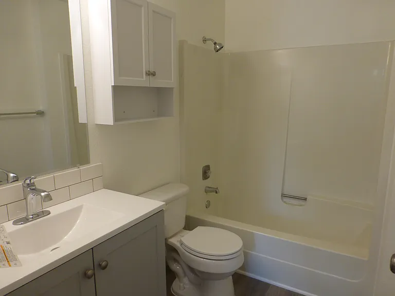 Neutral colored new cabinets and faucet in bathroom, clean, clean!