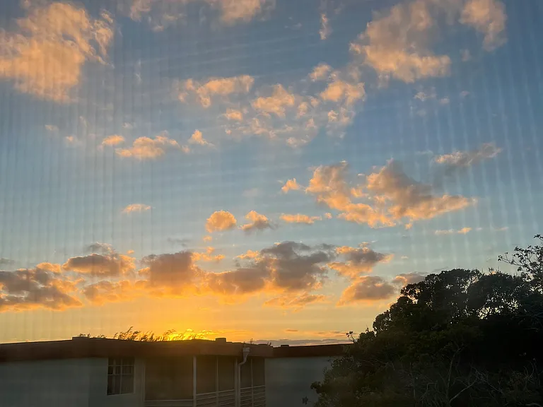 View from picture windows