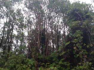 11 Road, Volcano, HI 96785