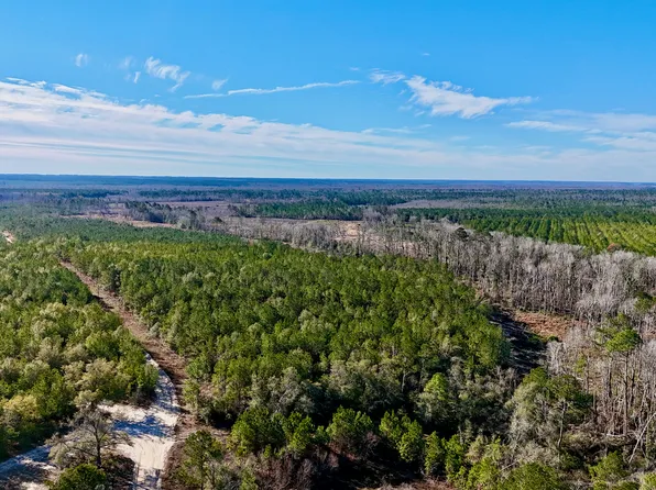 TRACT 2 Tillman Cemetery Rd, Lumber City, GA 31549