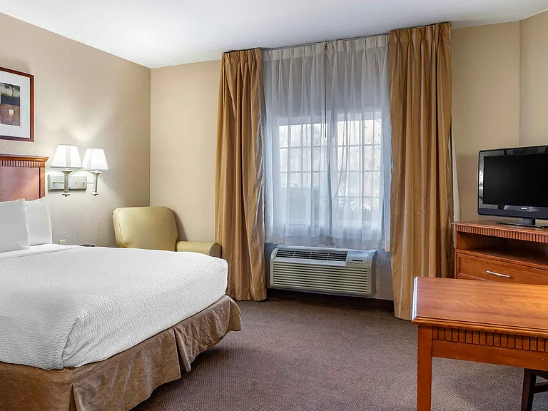 Studio Suite - 1 Queen Bed