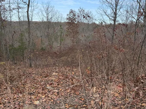 Lot 48 Blue Bird Rd, Eminence, MO 65466