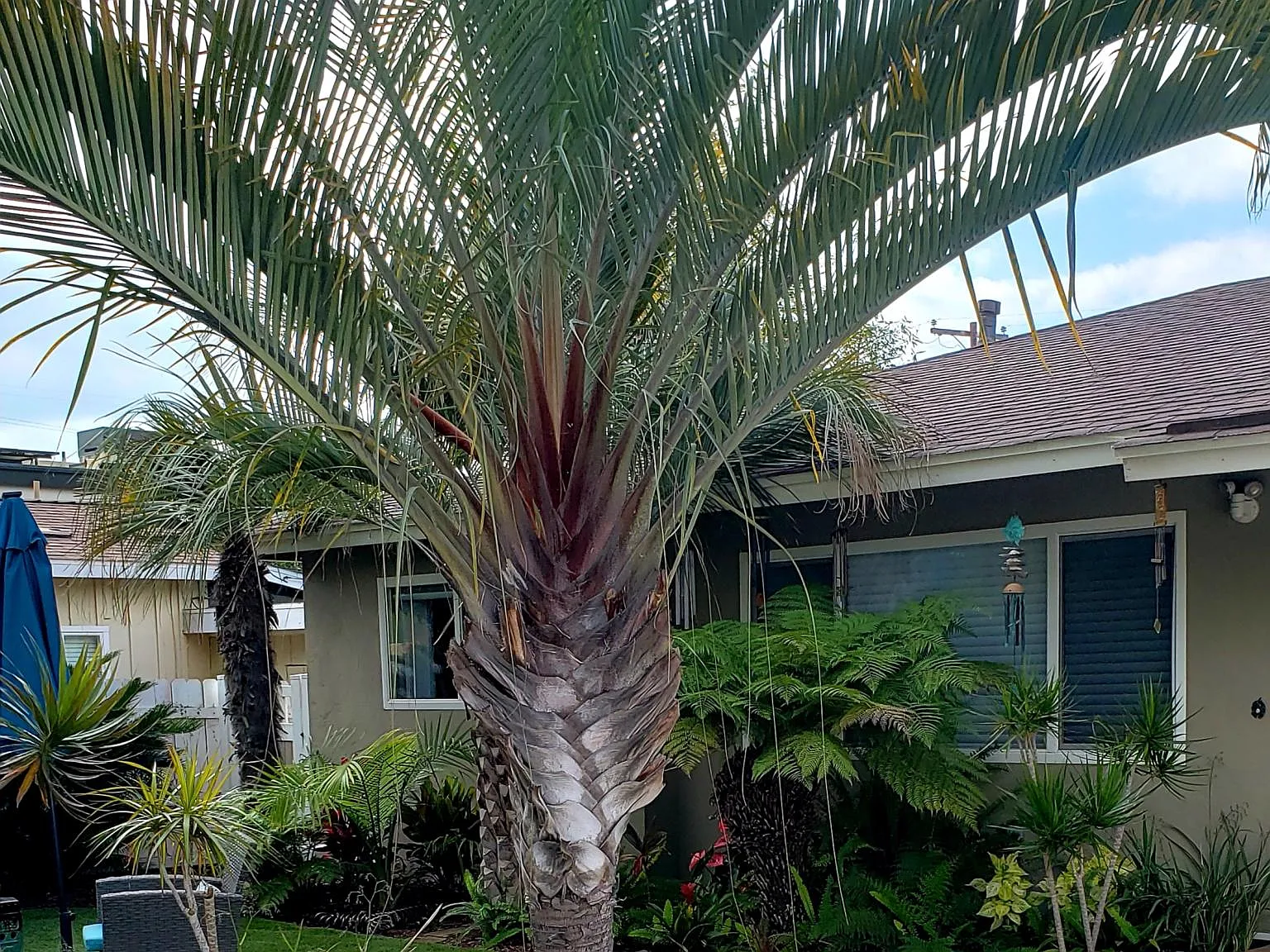 2480 Newport Ave — Photo 4