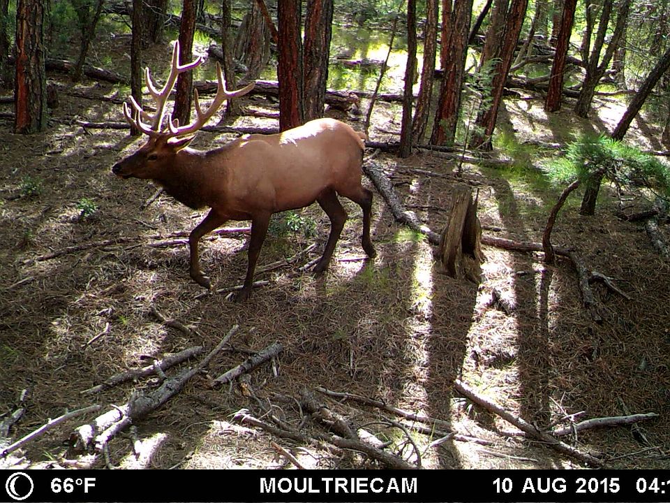 1st image of Tbd Bear Claw Ln