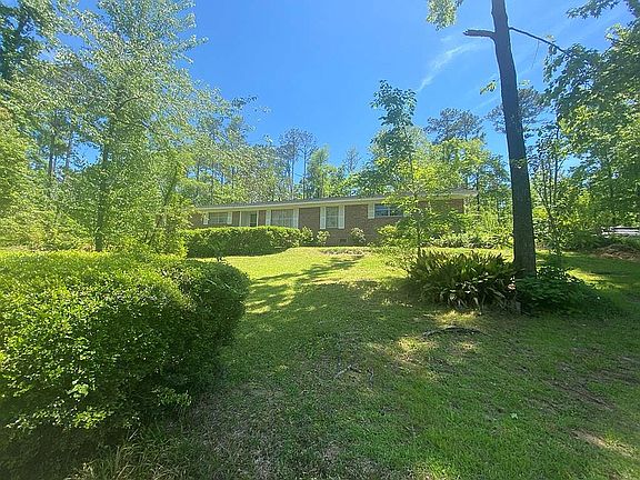 Following Tree Removal