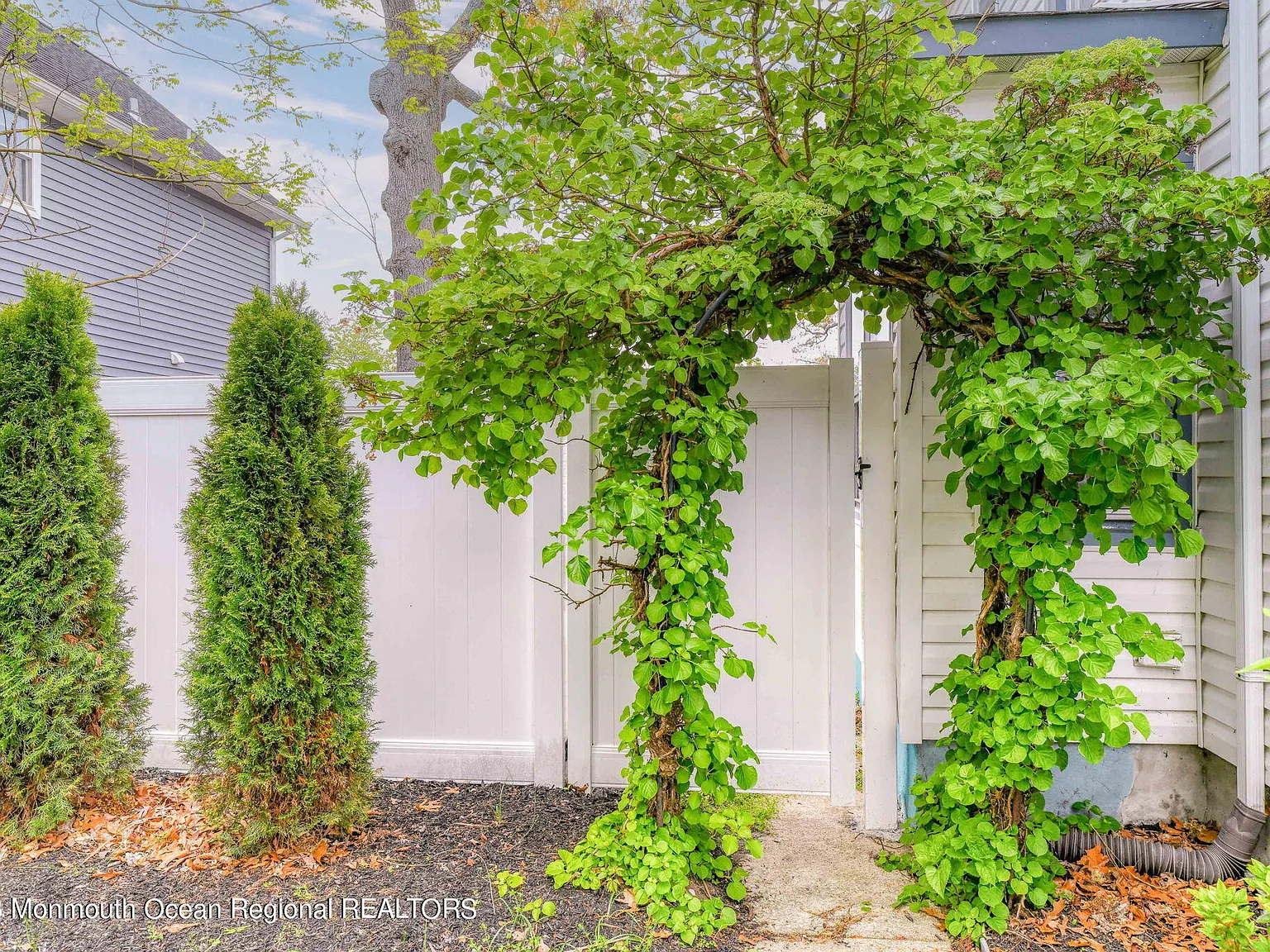2 bed, 1114 sqft, $6,900 — Photo 4