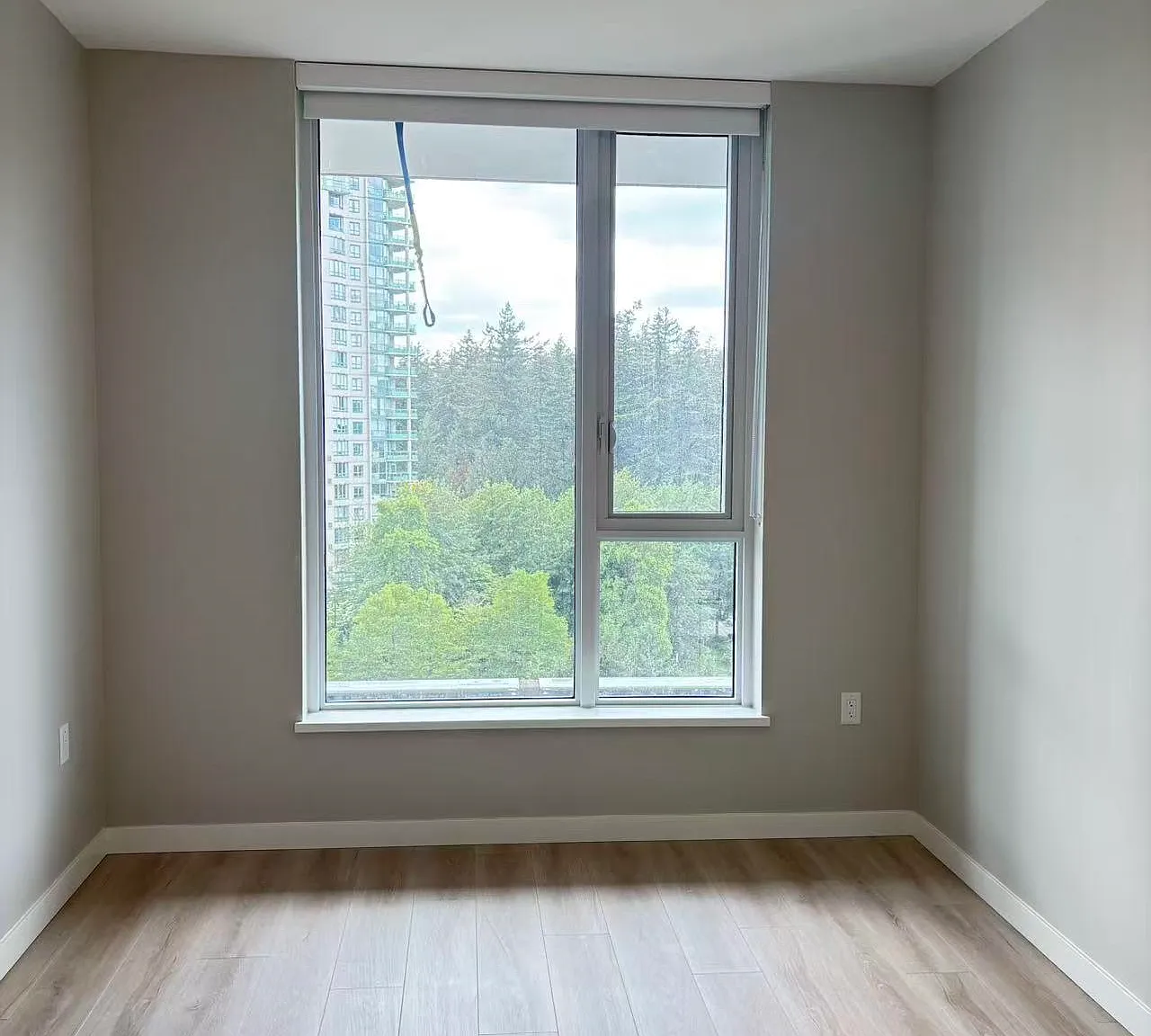 1 bed, 575 sqft, $2,250 — Photo 3