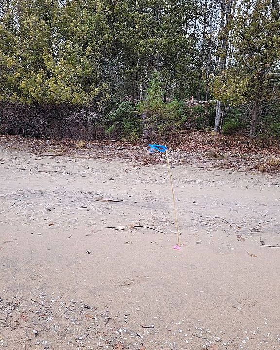 567 Yellow Birch Dr, Kewadin, MI 49648 Zillow