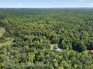 344 Quin Mo Lac Rd, Centre Hastings, ON K0K2K0