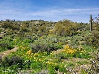 2nd image of 13318 N GOLDFIELD Road #9