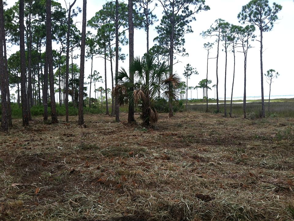 Lot is large and clear