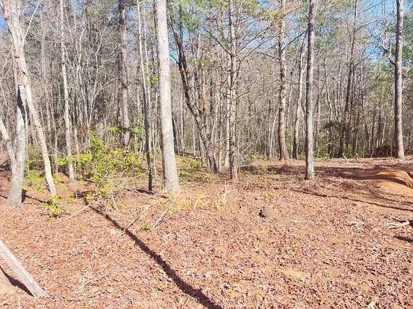 NULLC Ponderosa Dr, Epworth, GA 30541