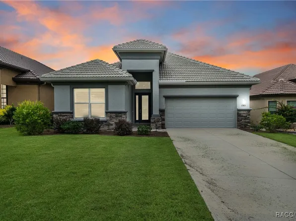 1343 W Greenmeadow Path, Hernando, FL 34442