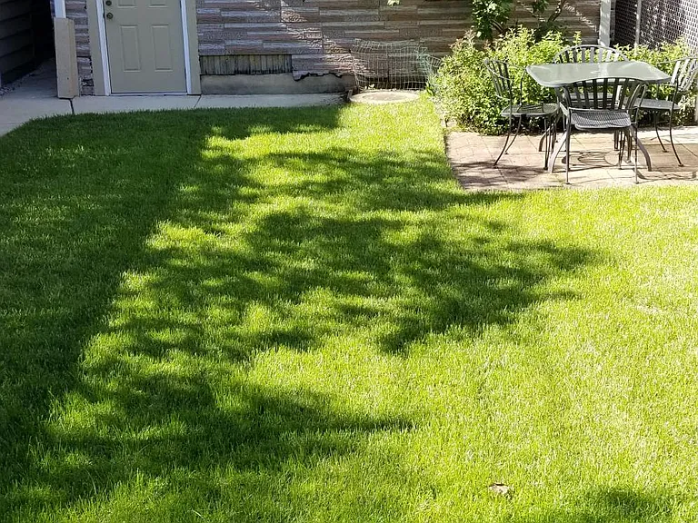 1109 W Wellington Ave #1 — Photo 12