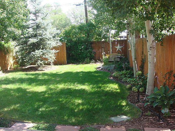 Pro landscaped back yard