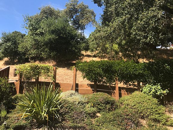 Open Space behind yard