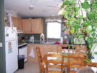 Kitchen View 1